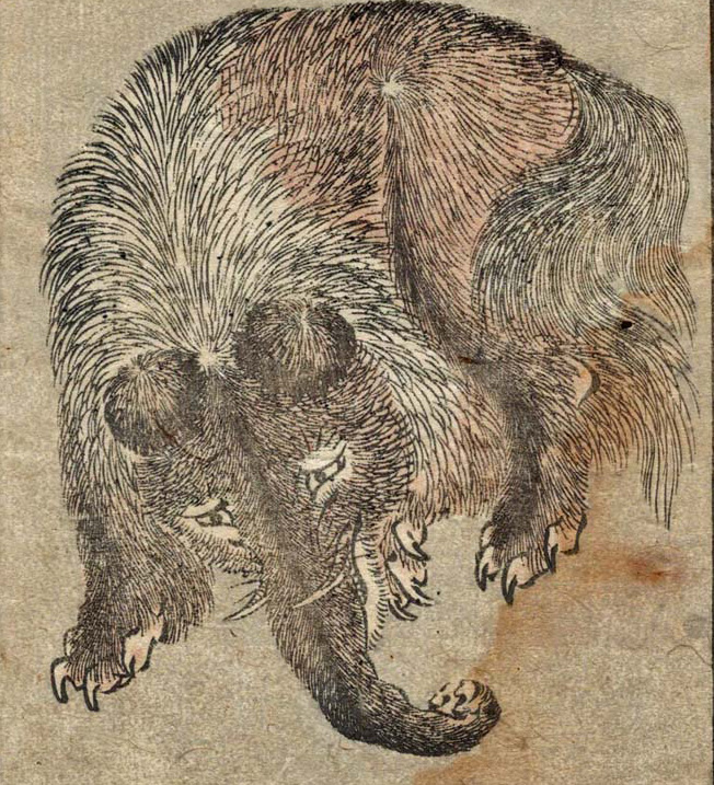 贔屓　中国伝説上の霊獣　置き物　飾り物 贔屓 中国伝説上の霊獣 置き物 飾り物 小物・アクセサリー